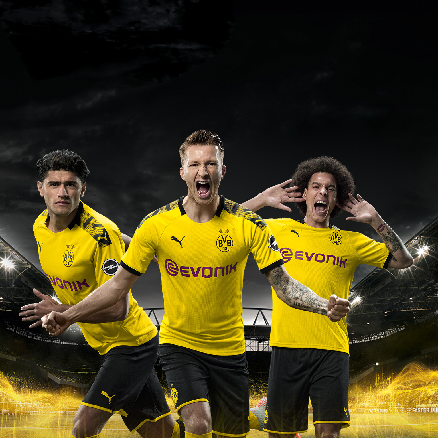 bvb puma bvb puma